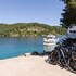 mljet