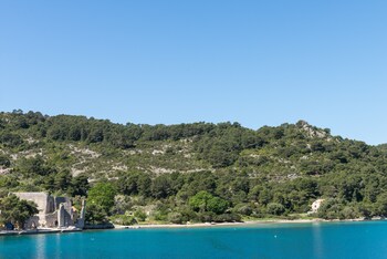 mljet