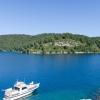 mljet