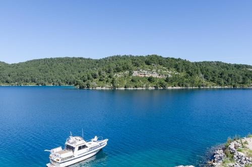 mljet