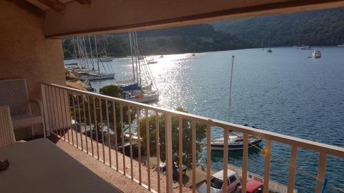 mljet