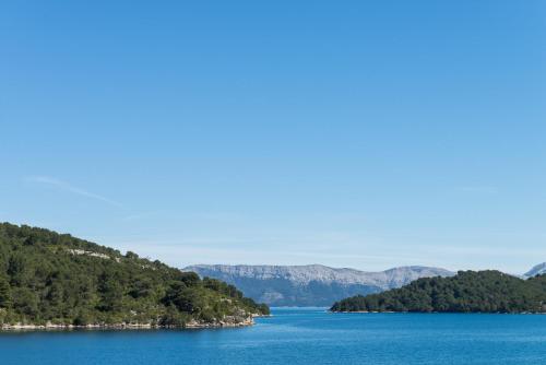 mljet