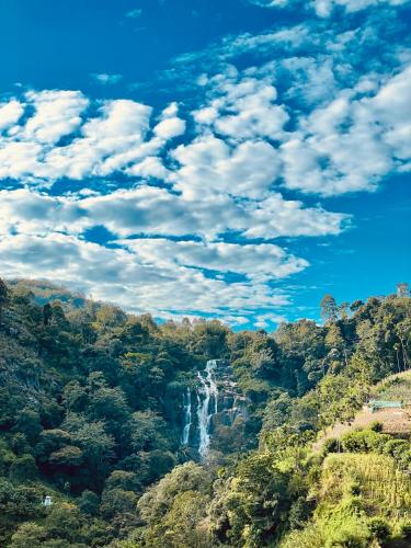 ella waterfall view