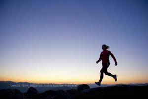 solvgarden hotell and feriesenter