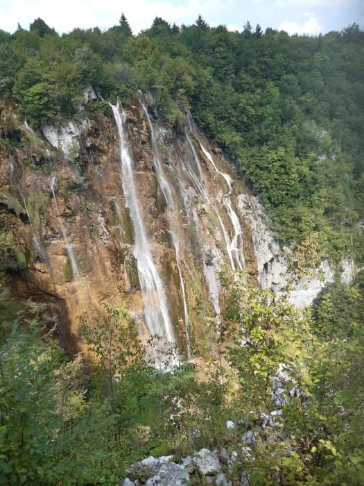 seliste dreznicko