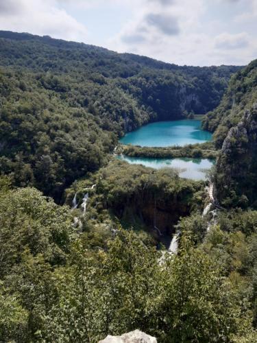 seliste dreznicko