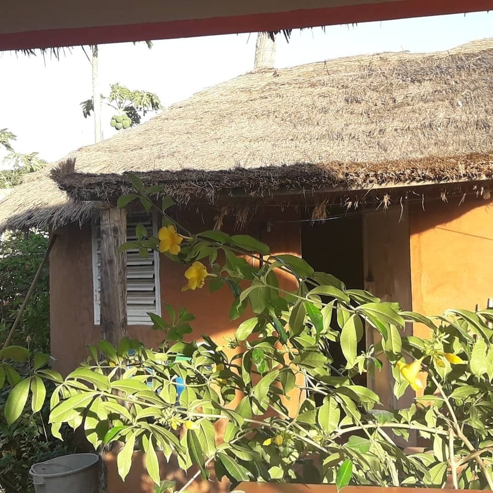 campement baobab