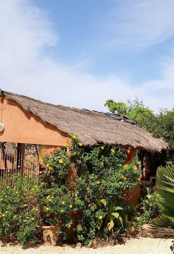 campement baobab