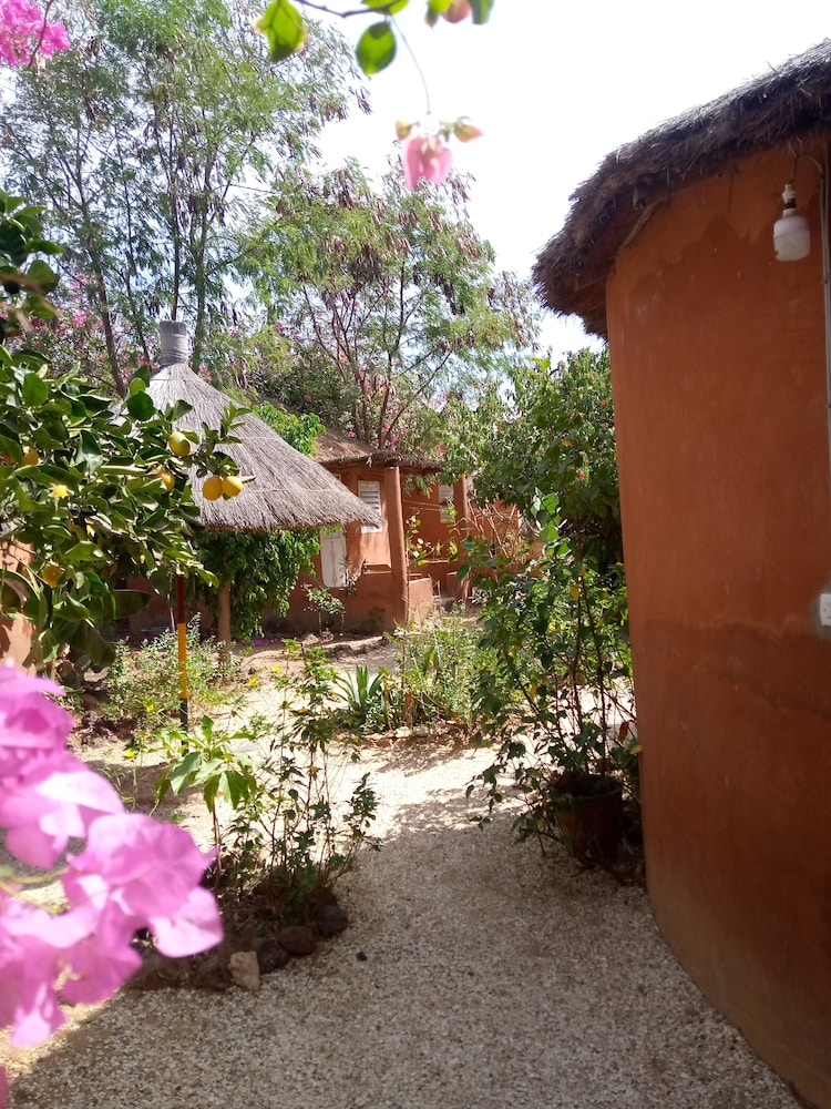 campement baobab