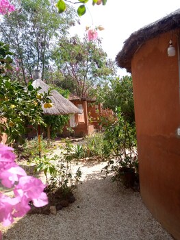 campement baobab