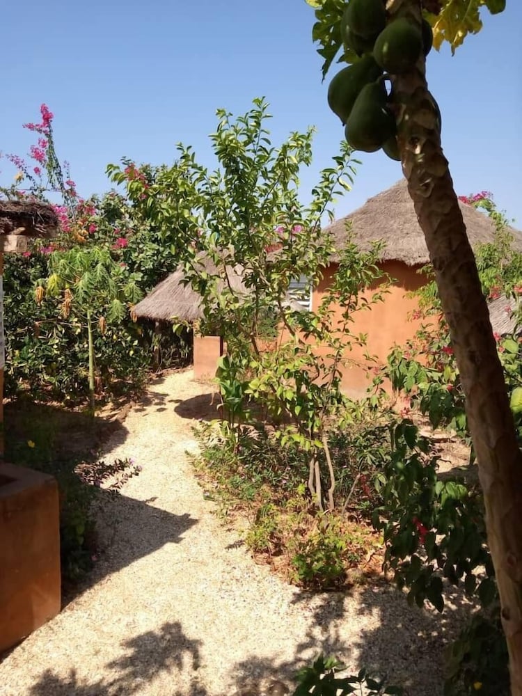campement baobab