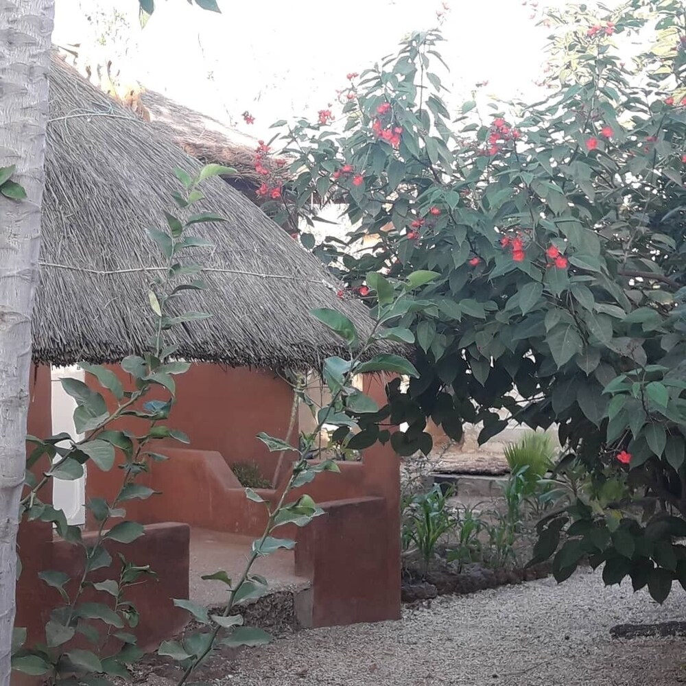 campement baobab