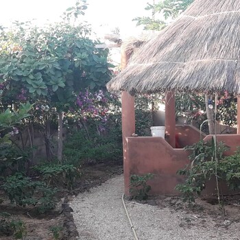 campement baobab