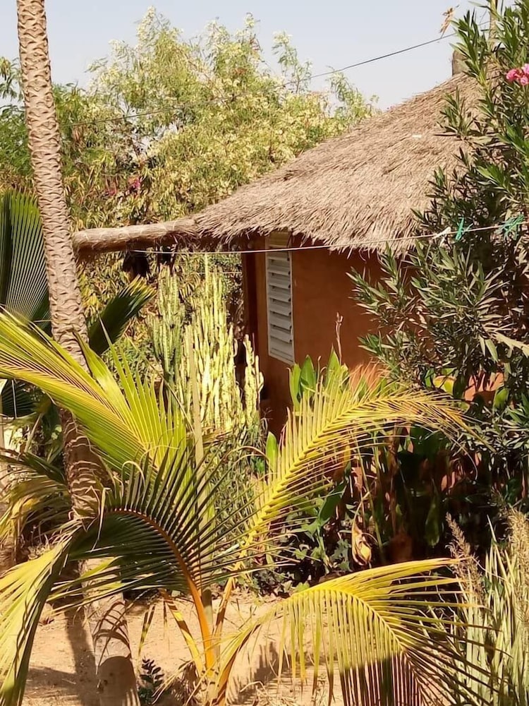 campement baobab