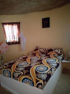 campement baobab