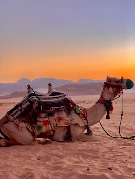 wadi rum boutique camp and jeep tour