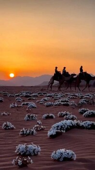 wadi rum boutique camp and jeep tour