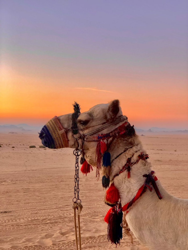 wadi rum boutique camp and jeep tour