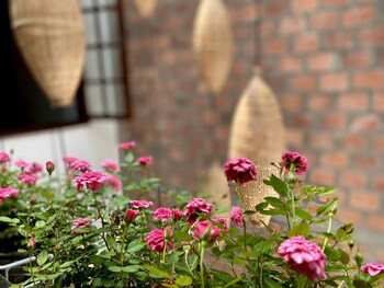 hoian okra hostel