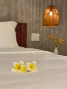 hoian okra hostel