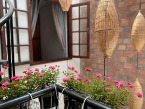 hoian okra hostel