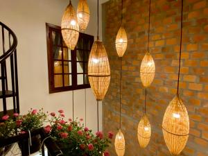 hoian okra hostel