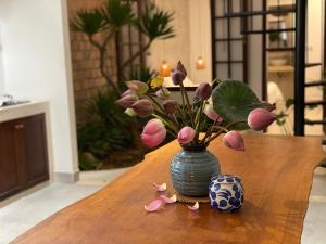 hoian okra hostel