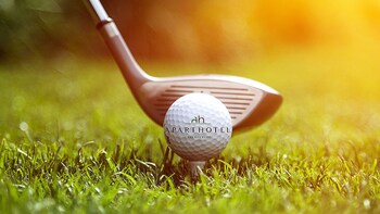 aparthotel treudelberg