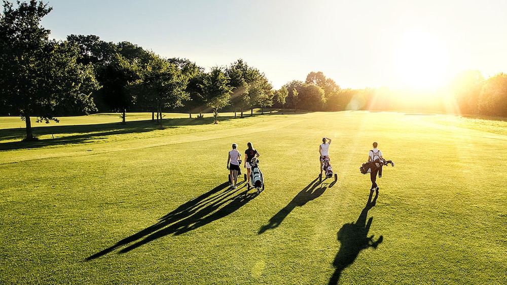 aparthotel treudelberg