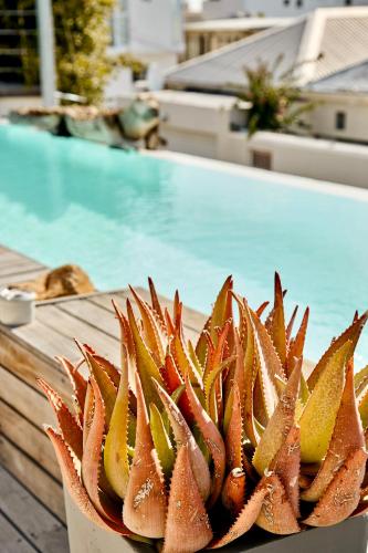 dysart boutique hotel