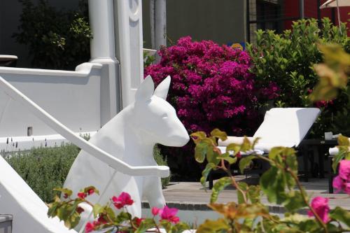 dysart boutique hotel