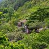 dasanbang pension