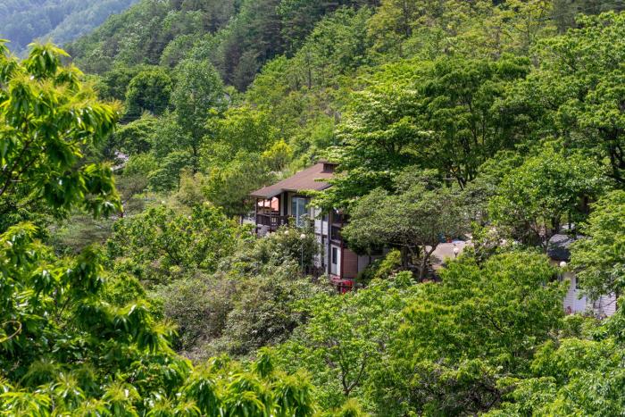 dasanbang pension