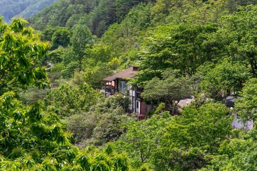 dasanbang pension