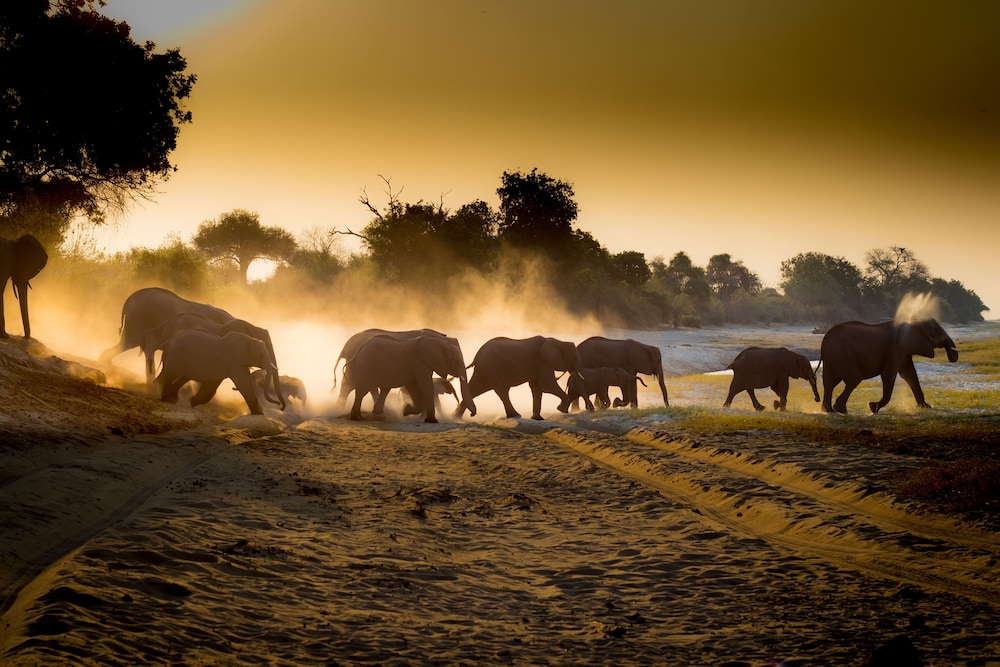 boteti tented safari lodge