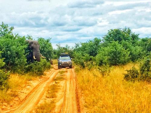 boteti tented safari lodge