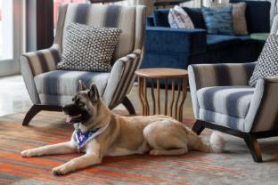 aloft beachwood
