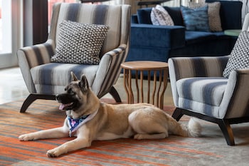 Aloft Beachwood,Cleveland>>Beachwood,3 star