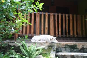 baan tildao pround fah exotic room on a hill