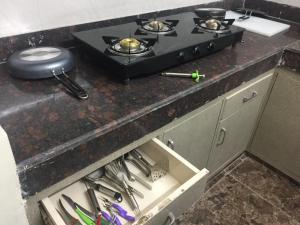 the raveesh 2 bhk serviced apartment