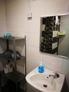 comfort zone the ceo loft by joal