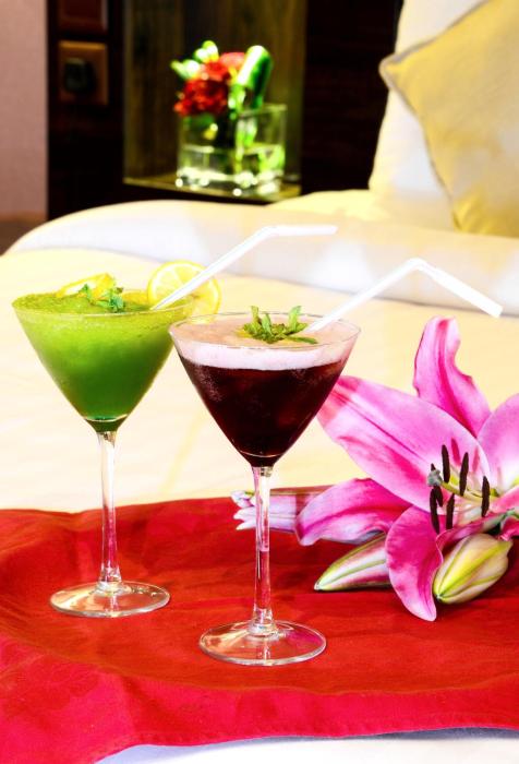 plaza inn olaya hotel