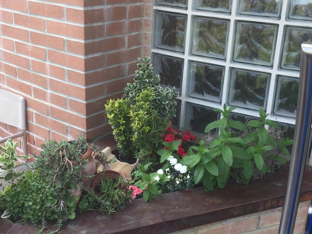 Il Canneto,Lugano>>Busto Arsizio,3 star