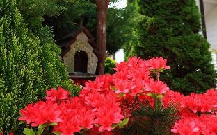 morwenna pension