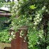 clocchiatti