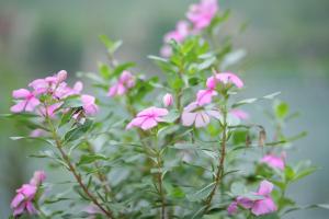 restful river bungalow