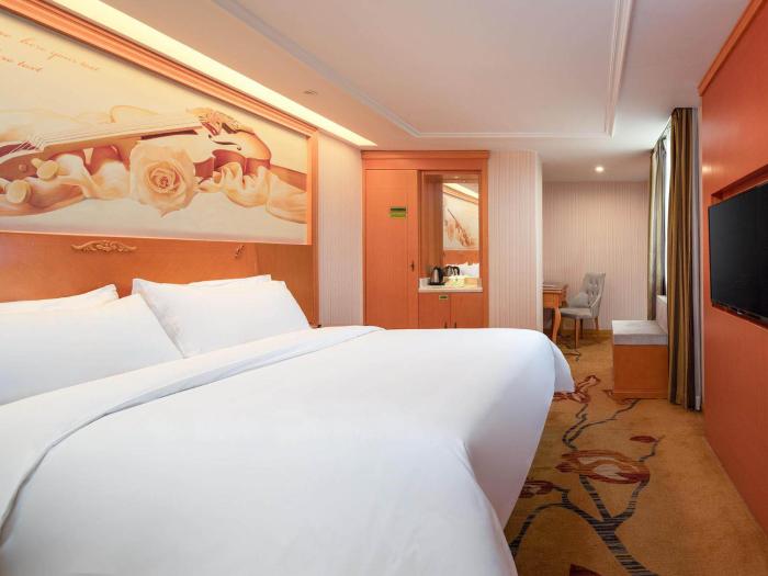 vienna hotel guangdong chaozhou chaoan