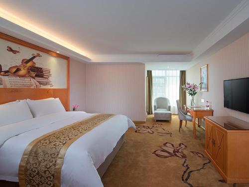 vienna hotel guangdong chaozhou chaoan