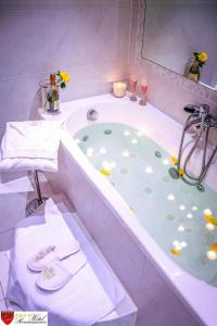 Hotel Renaissance De Castres,Castres>>Albi,4 star