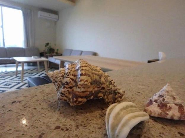 longvacation okinawa 301